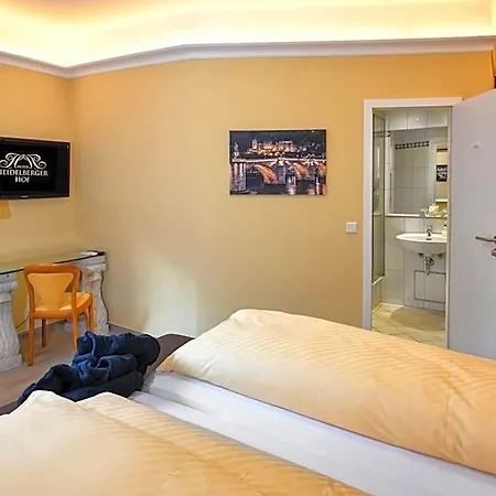 فندق Heidelberger Hof هايدلبرغ