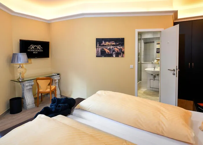 호프 4* 하이델베르크