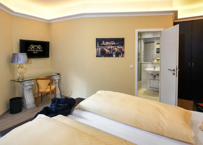 호프 4* 하이델베르크