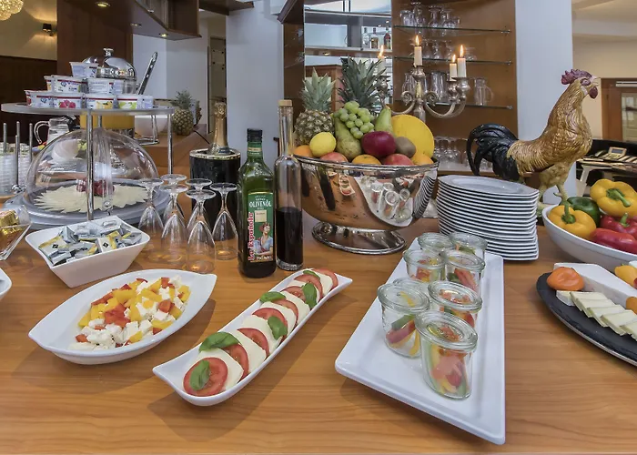 호프 호텔 하이델베르크